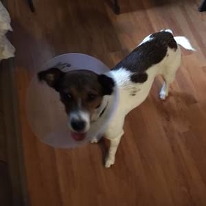 Meet your Posher, Audrey